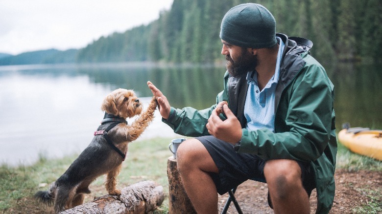 Dog and person high-fiving next to a lake