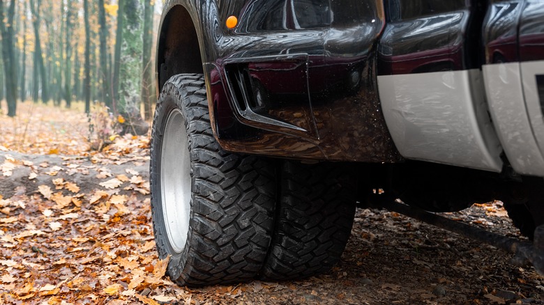 Truck parked in fall leaves