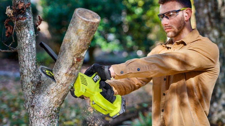 Man using Ryobi prunning saw