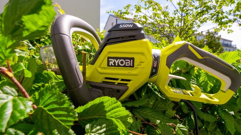 Ryobi tool sitting in a bush