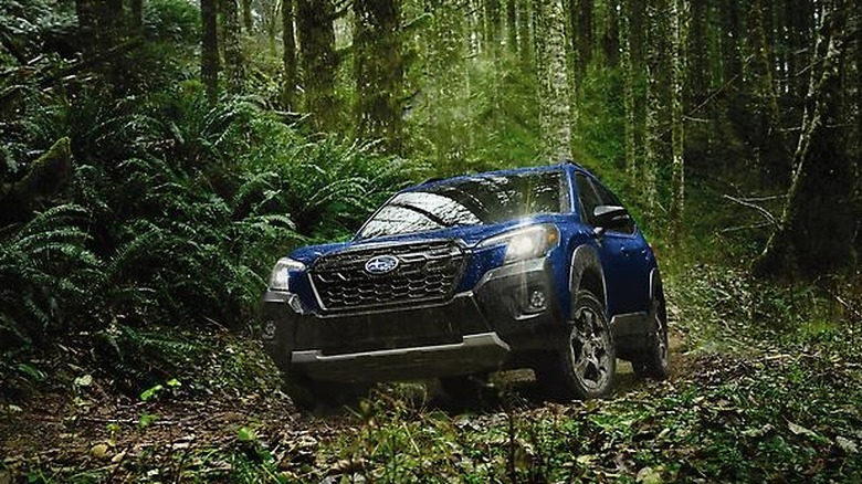 Blue Subaru Forester in dense forest