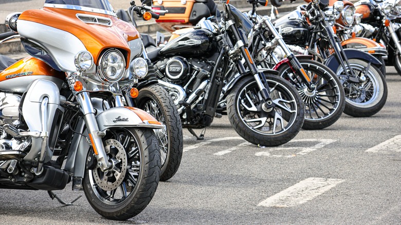 row of Harley-Davidson bikes