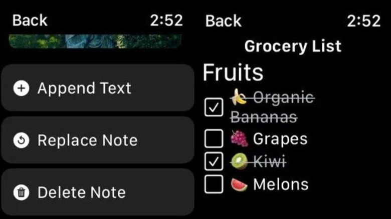 SnipNotes app screenshots on Apple Watch