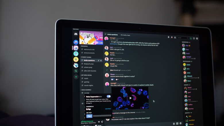 Discord app screen on PC