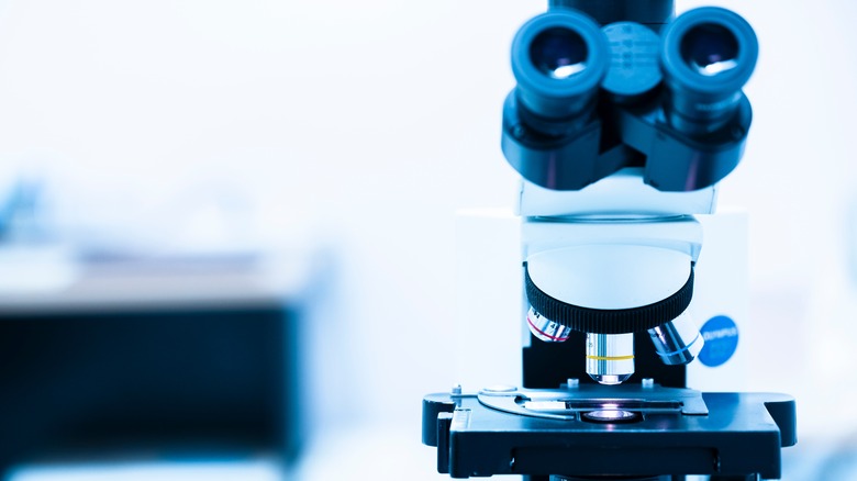 Microscope in laboratory setting