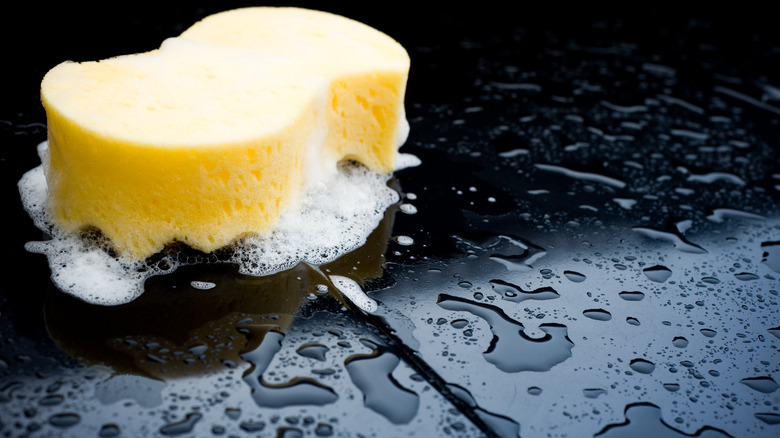 Soapy sponge on car