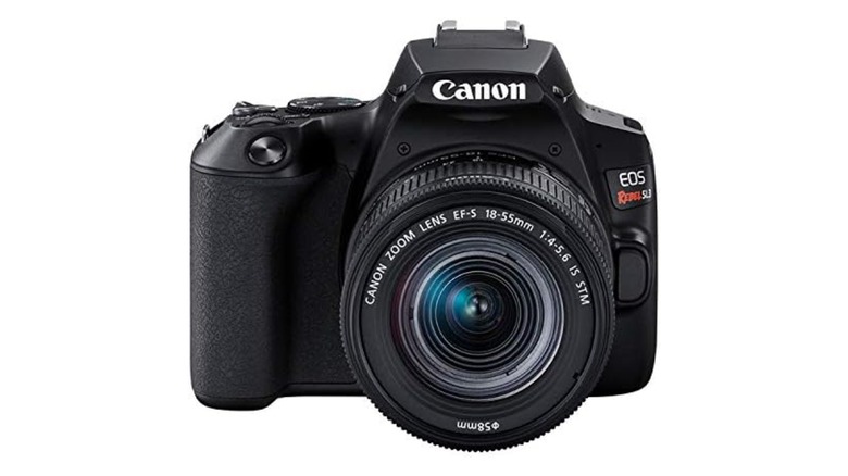 a Canon EOS Rebel SL3 DSLR