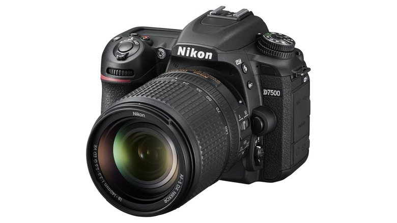 a Nikon D7500 DSLR