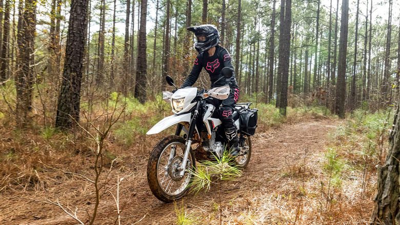 person riding honda x150l motorcycle