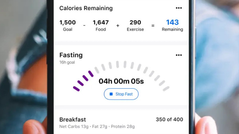 MyFitnessPal food log dashboard