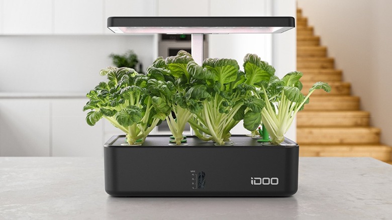 Hydroponic smart garden on table