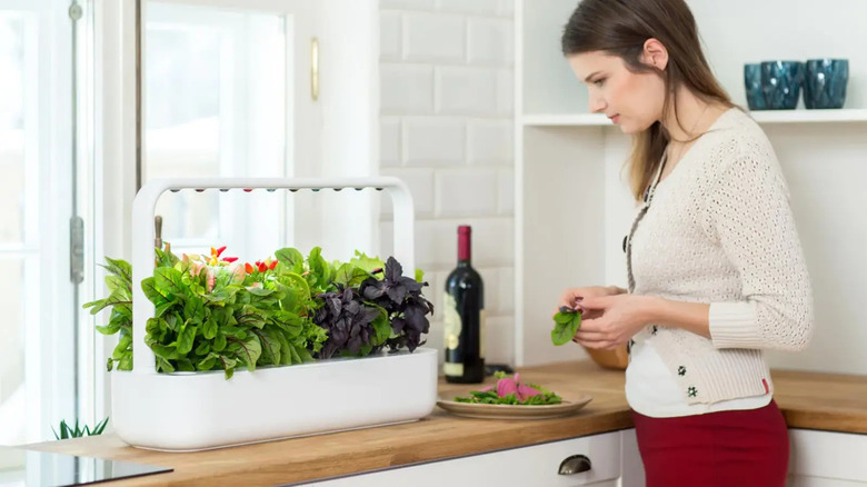 Woman standing in front of smart garden on table