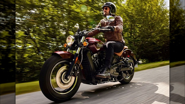 2024 Indian Scout ridden on a tree-lined roadway.