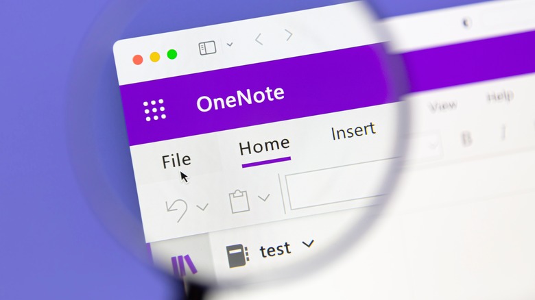 magnified OneNote app