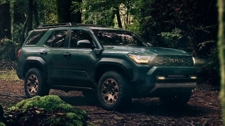 4Runner in woods