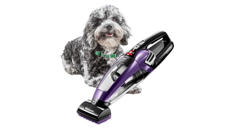 Bissell Pet Hair Eraser Hand Vacuum Dog