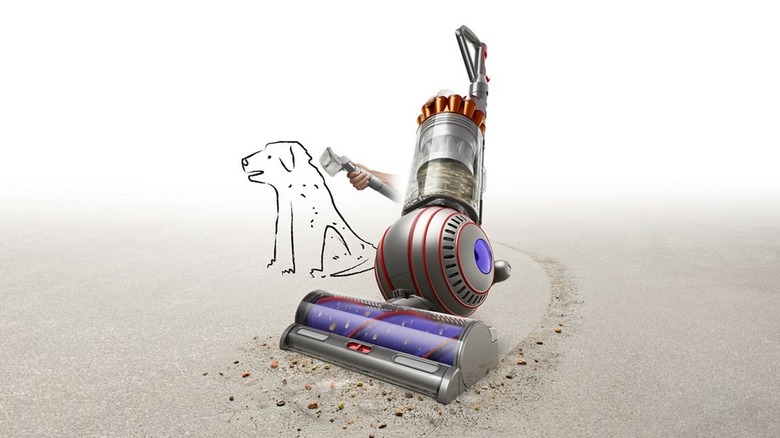 Dyson Ball Animal 3 Extra cleaning