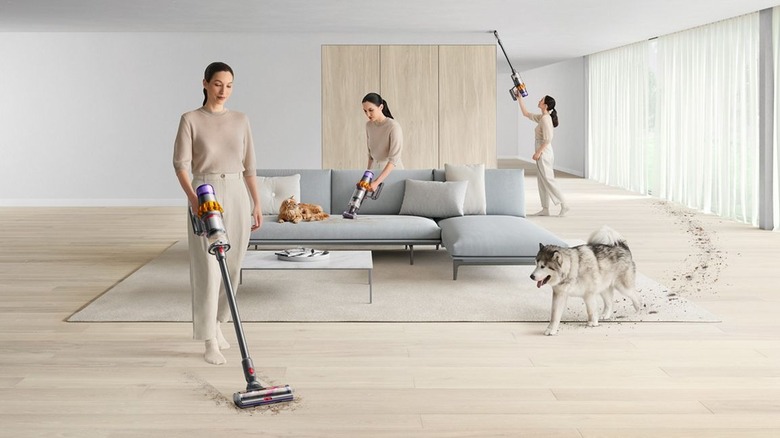 Dyson V15 Detect pet cleanup