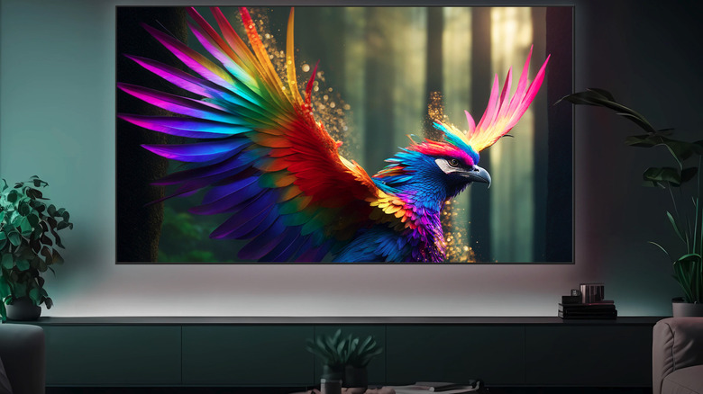 Hisense TV with colorful bird on screen