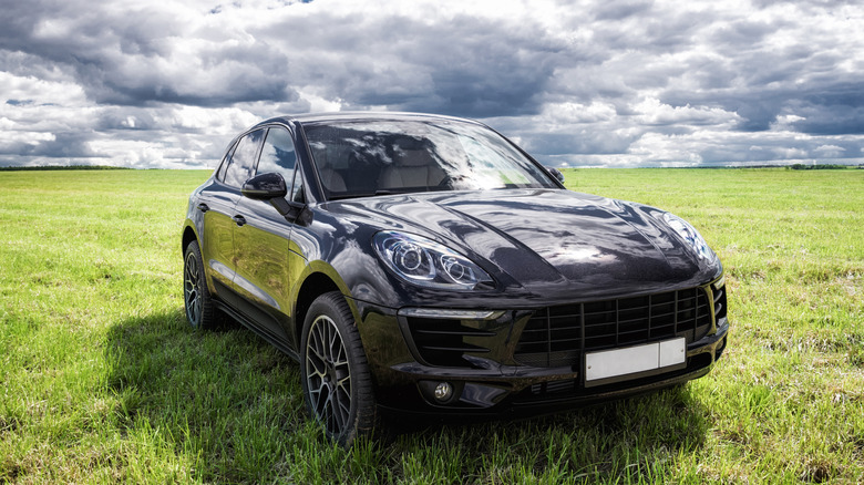 Porsche Macan parked on grass