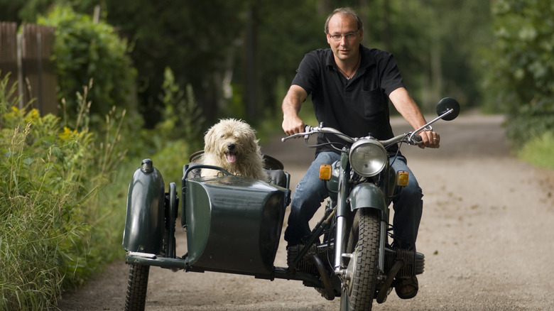 man and dog on motorcycle