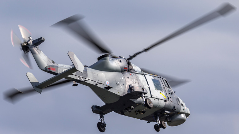 An AW159 Wildcat of the Royal Navy preparing to land at RAF Waddington in July 2024