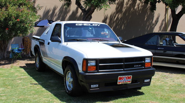 White Dodge Shelby Dakota parked on the grass