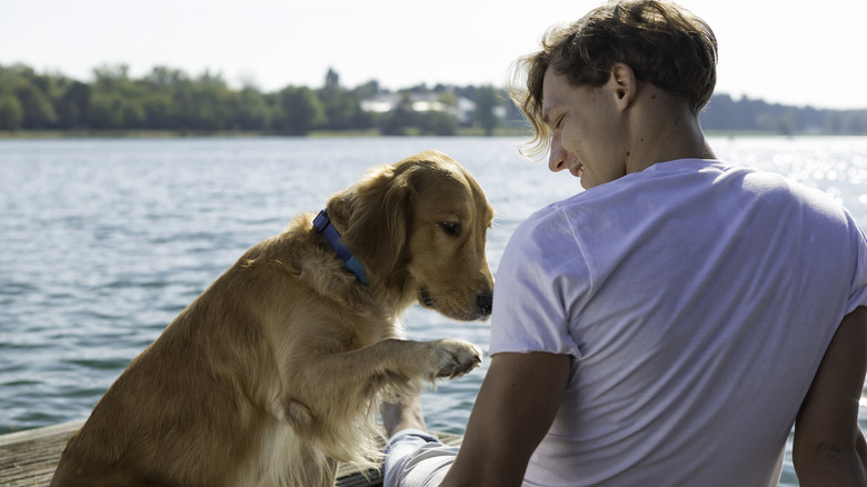 dog wearing FitBark with owner