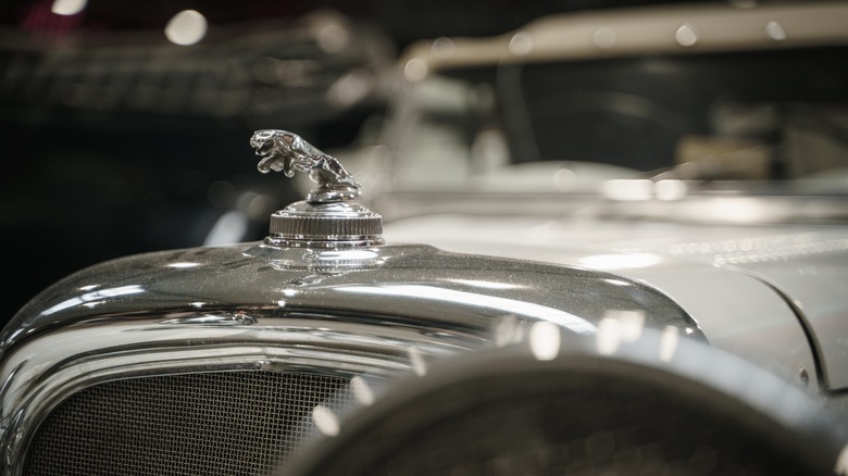 Jaguar hood ornament on vintage car