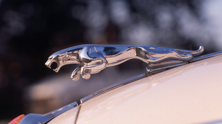 Jaguar hood ornament