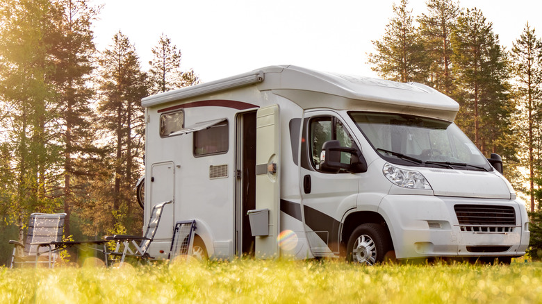 campervan parked in woods