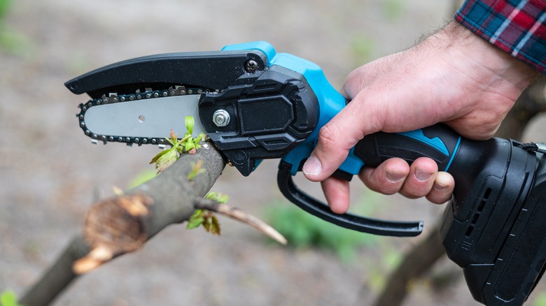 https://www.slashgear.com/img/gallery/5-of-the-most-popular-mini-chainsaws-ranked-by-price/intro-1696892882.jpg
