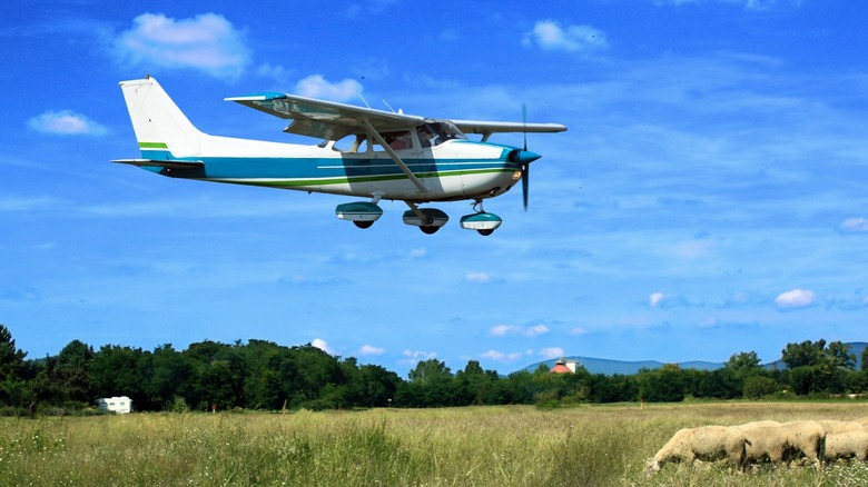 Cessna 172 landing