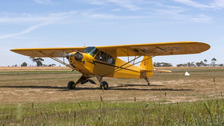 Yellow Piper Cub