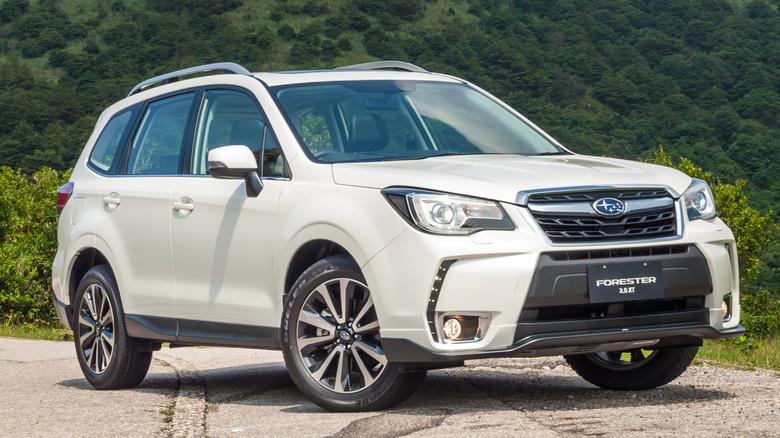 White Subaru Forester with forest background