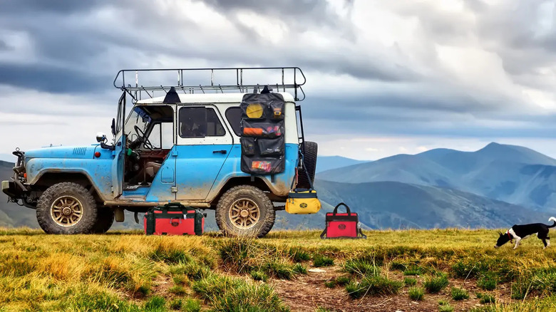 Overlander vehicle with dog and mountains 