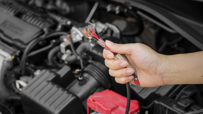 Frayed car cables from rodent