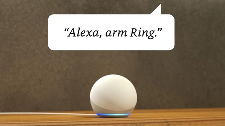 Alexa speaker with speech bubble saying "Alexa, arm Ring."