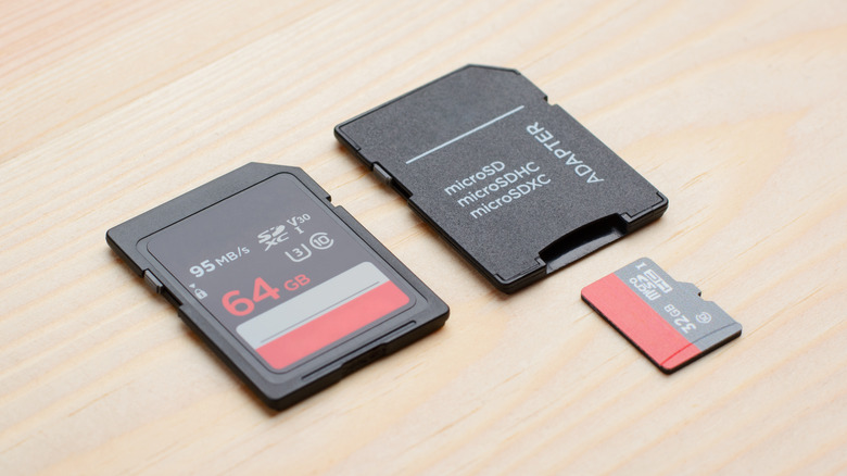 An SD card and a microSD card with an adapter.