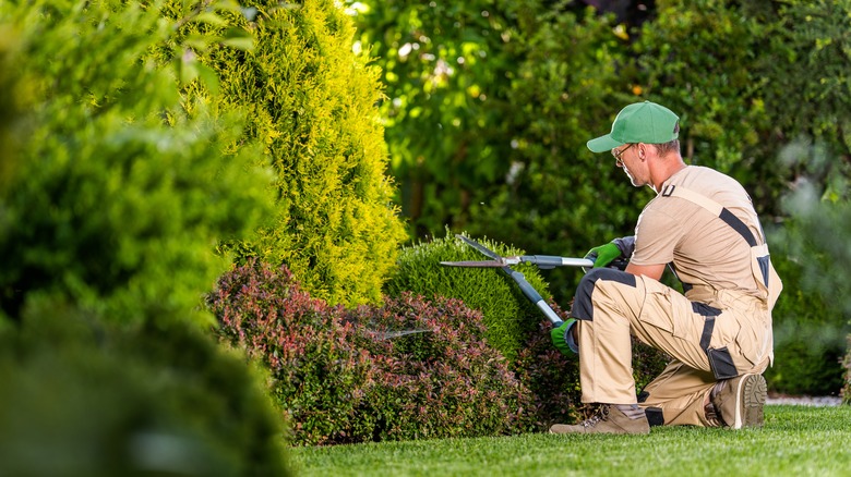 man landscaping his garden