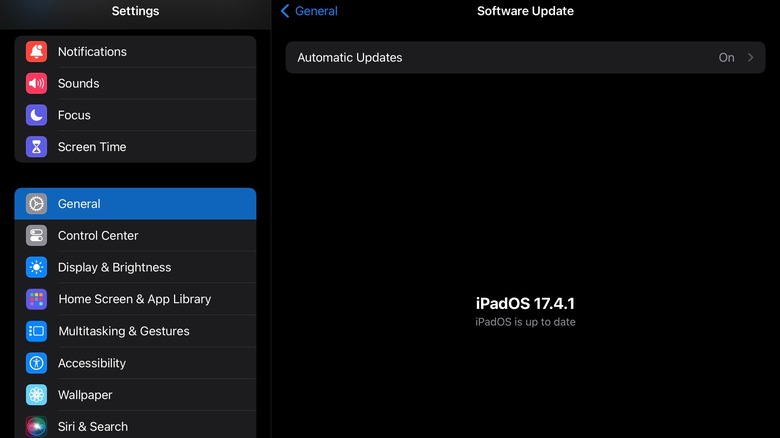 iPad software update screen