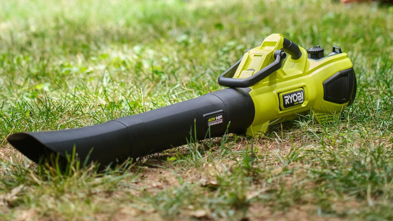 Ryobi leaf blower on grass