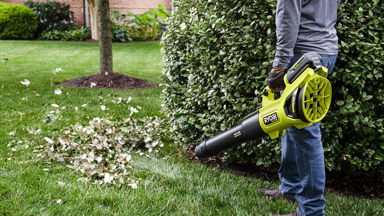 Using Ryobi leaf blower on lawn 