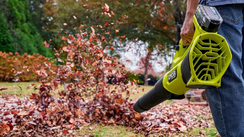 person blowing leaves away with a leaf blower