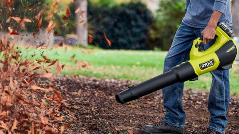 person using blower to clean up leaves