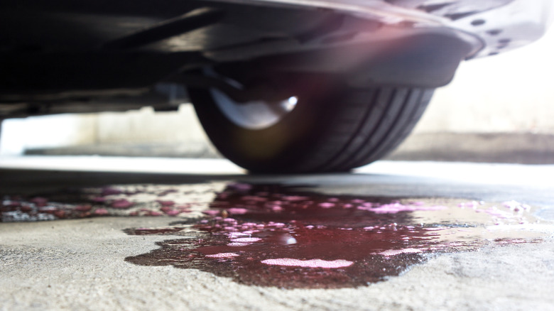 Engine coolant leaking under a car