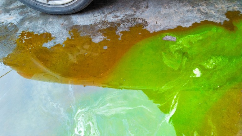 A puddle of green automotive coolant on the ground