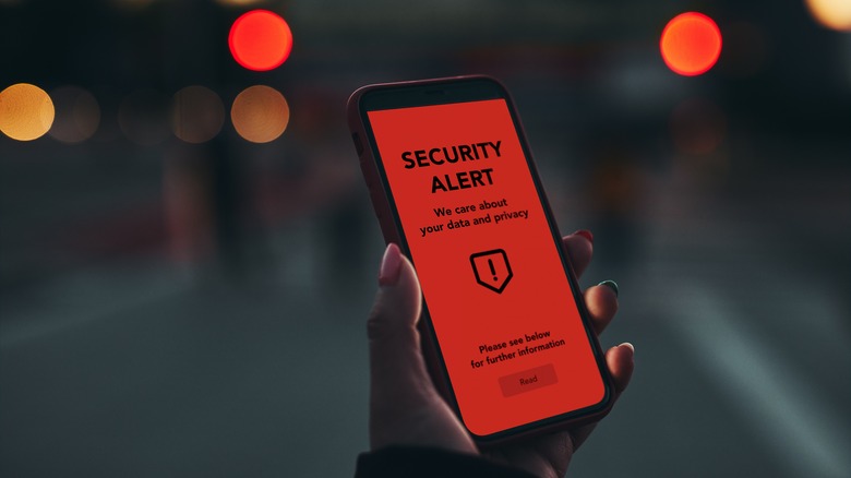 Smartphone security alert