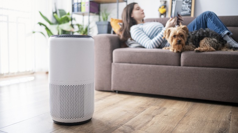 Air purifier in a room