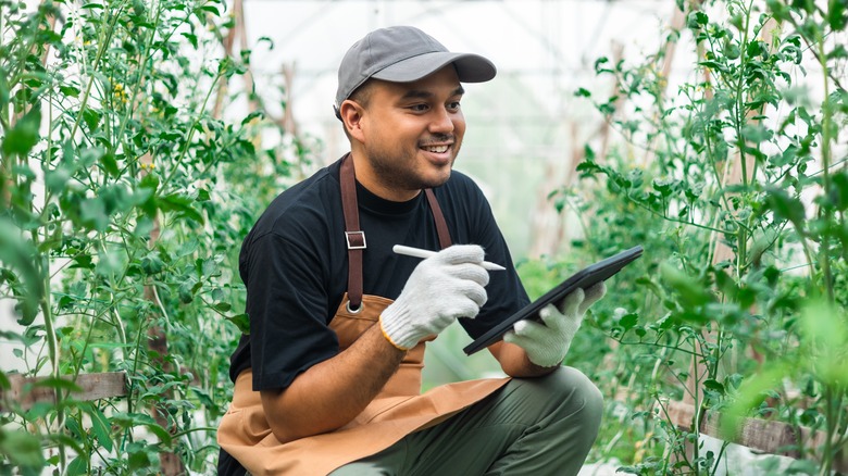 Gardener using tablet